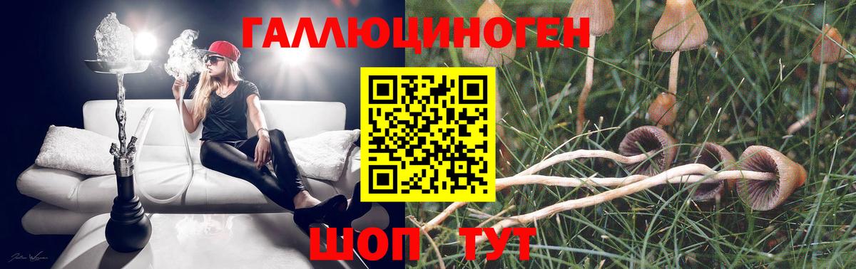 Красноуфимск  Галлюциногенные грибы прущие грибы  Вход с VPN 